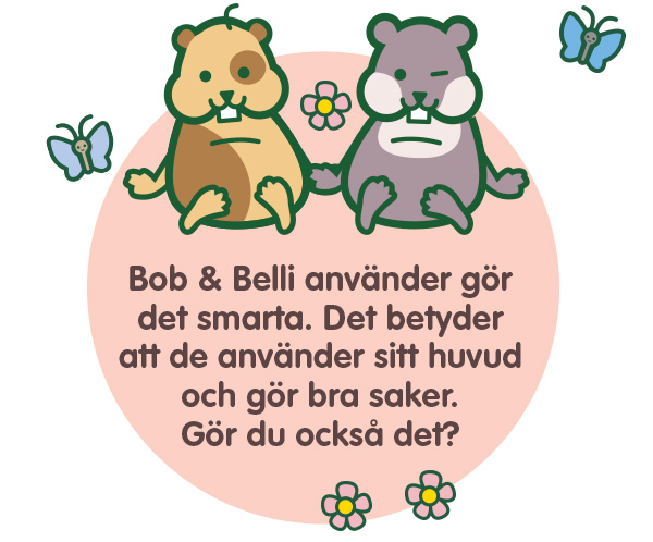 BB-S_slik-bruker-de-notta