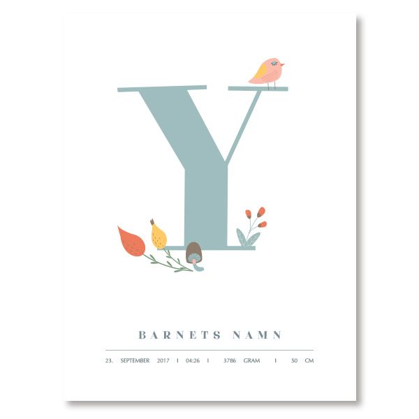 Namnposter – Y