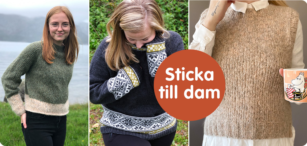 Sticka till dam