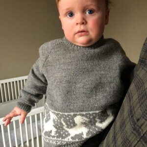 Bluum stickad tröja - Dinosaurientröjan i Pure Eco Baby Wool