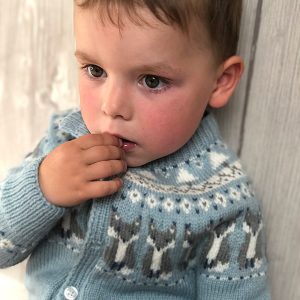 Stickad kofta Räv - garnpaket i Bluum Pure Eco Baby Wool