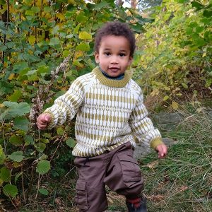 Stickad tröja Lärka - garnpaket i Bluum Pure Eco Baby Wool