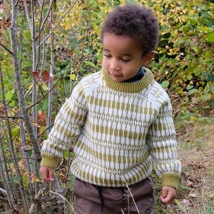 Stickad tröja Lärka - garnpaket i Bluum Pure Eco Baby Wool Stickning 3-4 år Vårgrön