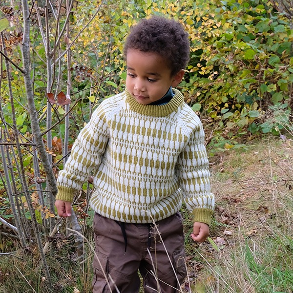 Stickad tröja Lärka - garnpaket i Bluum Pure Eco Baby Wool