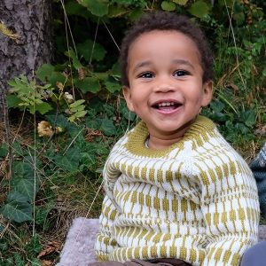 Stickad tröja Lärka - garnpaket i Bluum Pure Eco Baby Wool