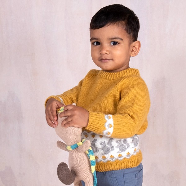 Stickad tröja Ekorre - garnpaket i Bluum Pure Eco Baby Wool