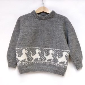 Stickad tröja Dinosaurien - garnpaket i Bluum Pure Eco Baby Woo