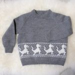 Stickad tröja Dinosaurien - garnpaket i Bluum Pure Eco Baby Wool