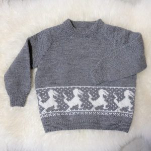Stickad tröja Dinosaurien - garnpaket i Bluum Pure Eco Baby Woo