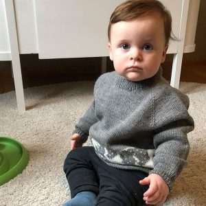 Stickad tröja Dinosaurien - garnpaket i Bluum Pure Eco Baby Woo
