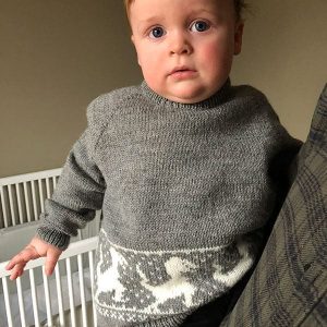 Stickad tröja Dinosaurien - garnpaket i Bluum Pure Eco Baby Woo