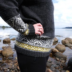 Stickad tröja Elin - garnpaket i Bluum Pure Eco Baby Wool