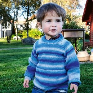 Stickad Tröja Färgspel - garnpaket i Bluum Soft Merino Ull