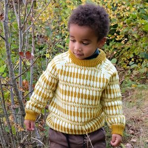 Stickat set tröja Lärka och mössa - garnpaket i Bluum Pure Eco Baby Wool
